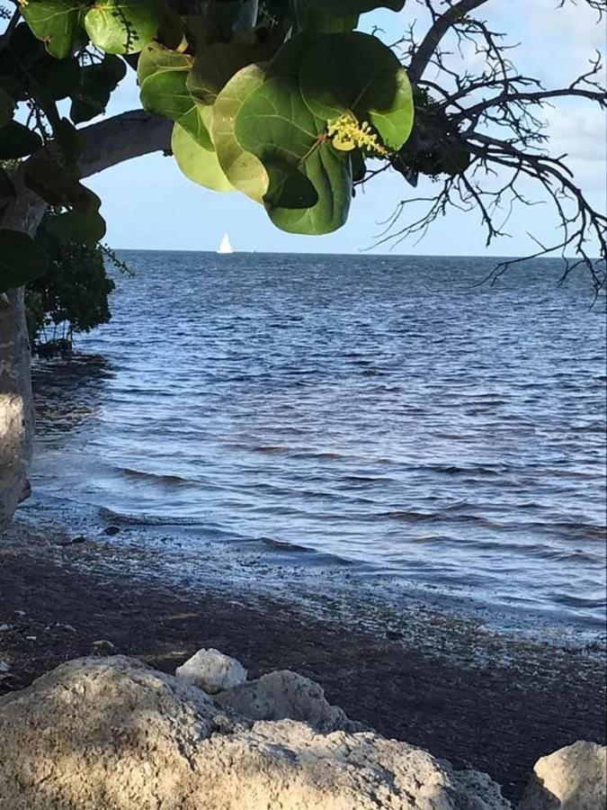 Sea Mist - Oceanfront-Lake-Kayak-Paddleboard-Bike Key Largo Buitenkant foto