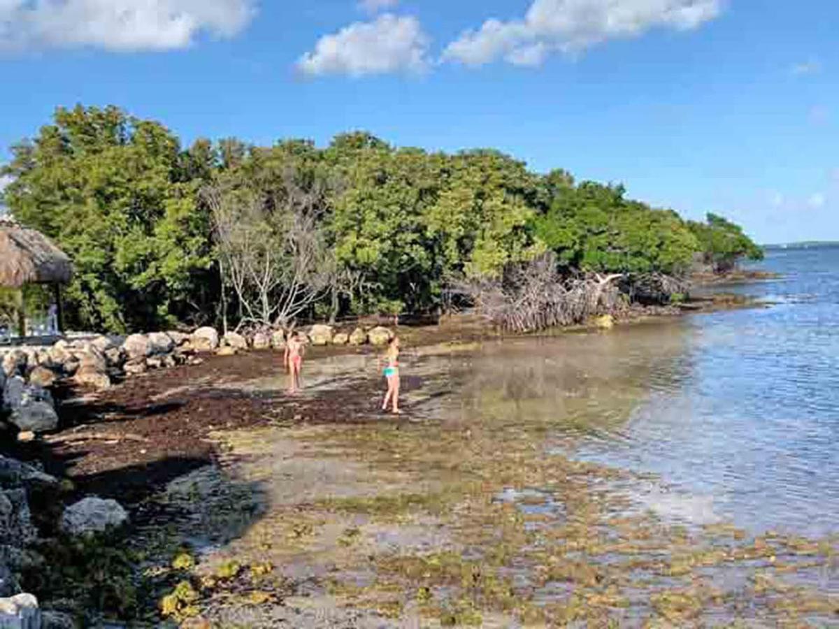 Sea Mist - Oceanfront-Lake-Kayak-Paddleboard-Bike Key Largo Buitenkant foto